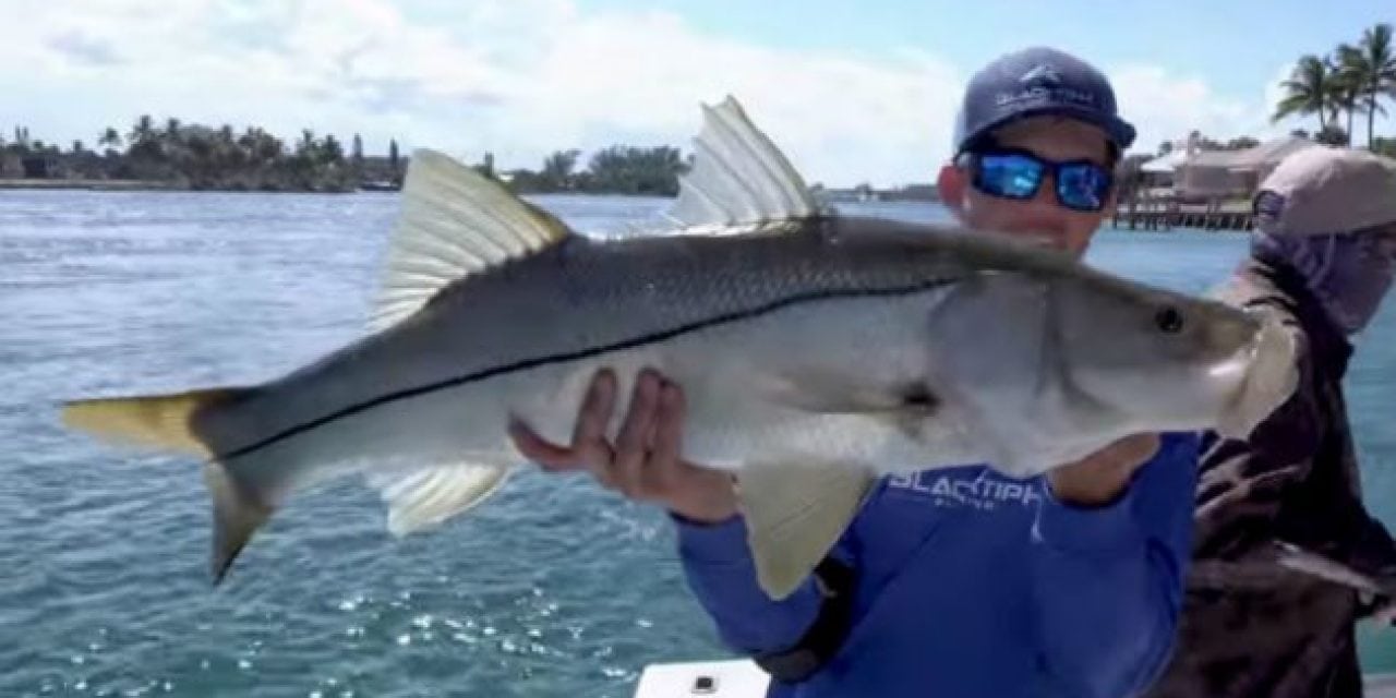 Watch: BlacktipH, LunkersTV and LakeForkGuy Hit the Water for an Epic Day of Snook Fishing