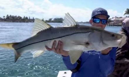 Watch: BlacktipH, LunkersTV and LakeForkGuy Hit the Water for an Epic Day of Snook Fishing