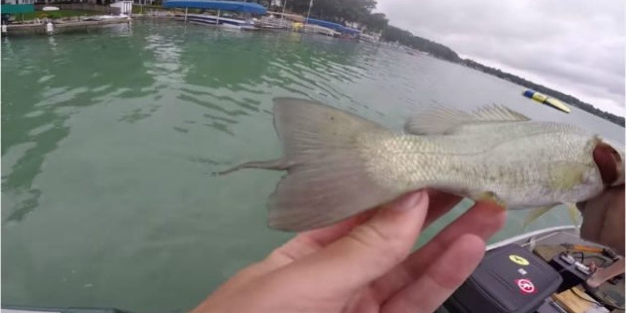 Watch: Jon B. Went Fishing in Michigan and Caught Some Really Weird Bass