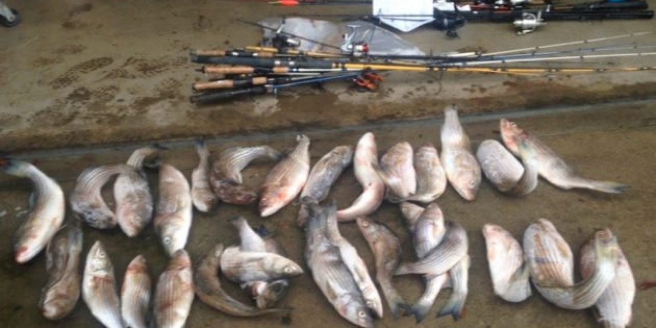 West Coast Fish Poaching Ring Busted, Sentenced