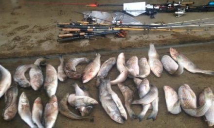 West Coast Fish Poaching Ring Busted, Sentenced