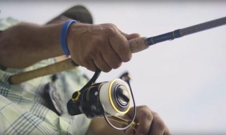 Why the Penn Slammer III Should Be Your Next Saltwater Spinning Reel