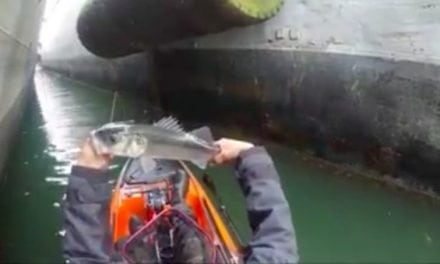 Would You Fish Between Massive Ships in Your Kayak? This Guy Does