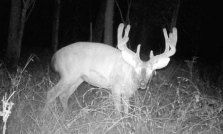 You Need to See How the Bayou Bowhunter’s Incredible 2-Year Quest for This Monster 170 Buck in Louisiana Ended