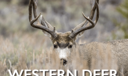 2017 Game & Fish Deer Forecasts