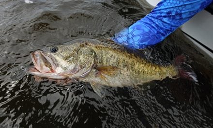 5 Top Fall Fishing Trips in Illinois