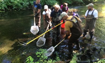 You can learn a lot from 6″ of water