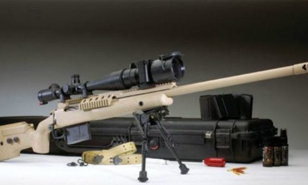 8 of the Sexiest Pictures of Rifle Scopes Ever Shot