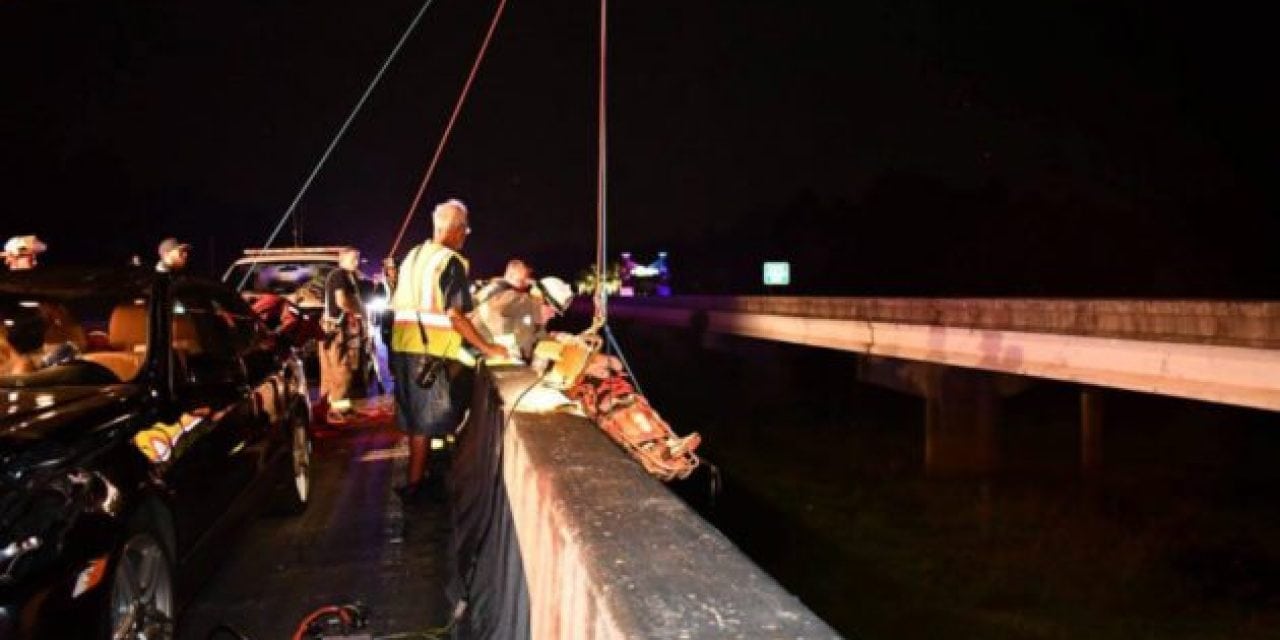 A Driver Hammered a Deer on a Bridge, and Then Tumbled Off Himself