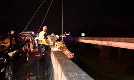 A Driver Hammered a Deer on a Bridge, and Then Tumbled Off Himself