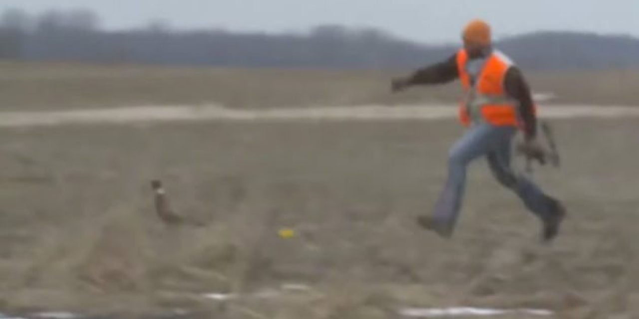 Bowhunting Pheasants: Who Needs Arrows? Throw the Bow!