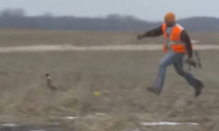 Bowhunting Pheasants: Who Needs Arrows? Throw the Bow!