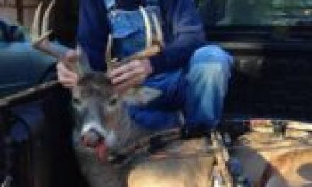 Buck Fever Not a Problem for Old School Deer Hunter