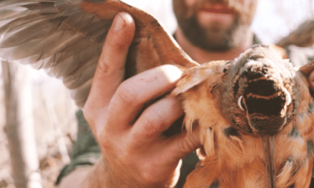 Camp Thunderbird Embodies a Love for Upland Game Birds and the Past