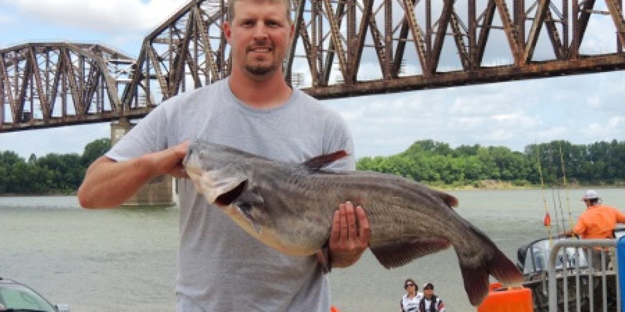 CatfishNOW: Catfish as Big as Volkswagens by Ron Presley