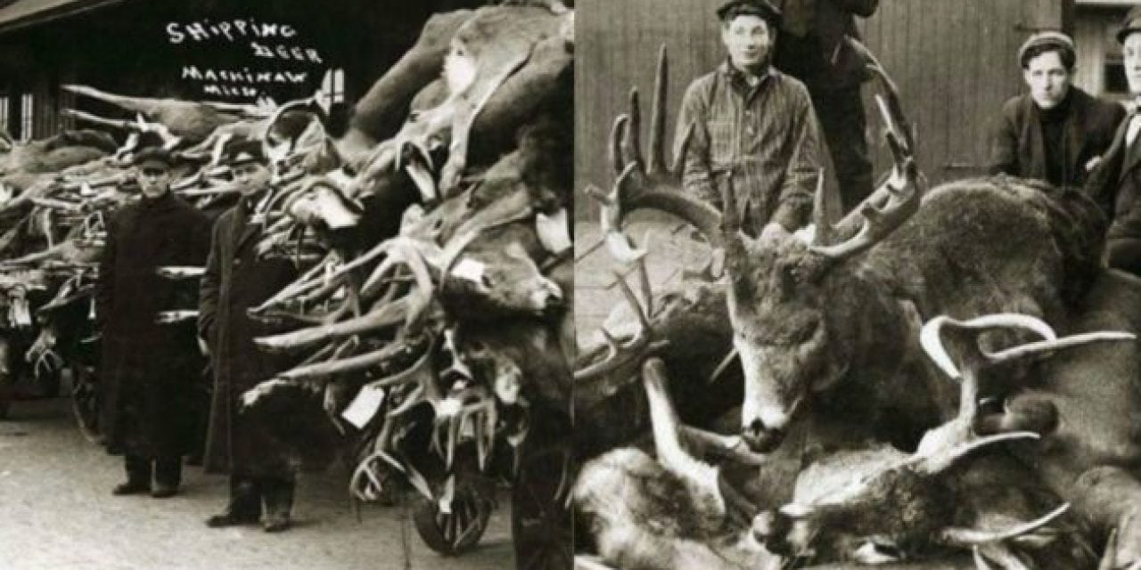 Check Out These 25 Awesome Vintage Deer Hunting Photos for #WhitetailWednesday