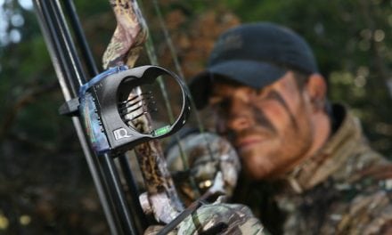 Deer Bowhunting Hot Spots in Mississippi