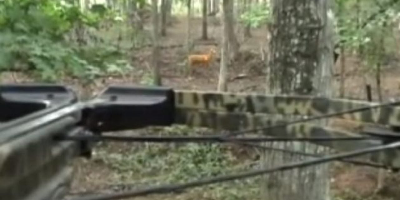 Dry Firing a Crossbow Is a Bad Idea