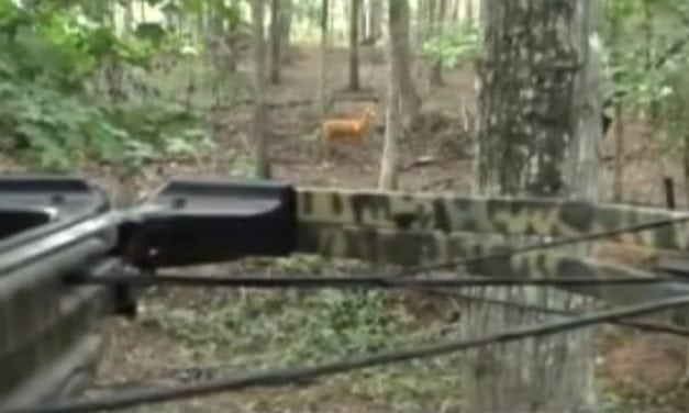 Dry Firing a Crossbow Is a Bad Idea
