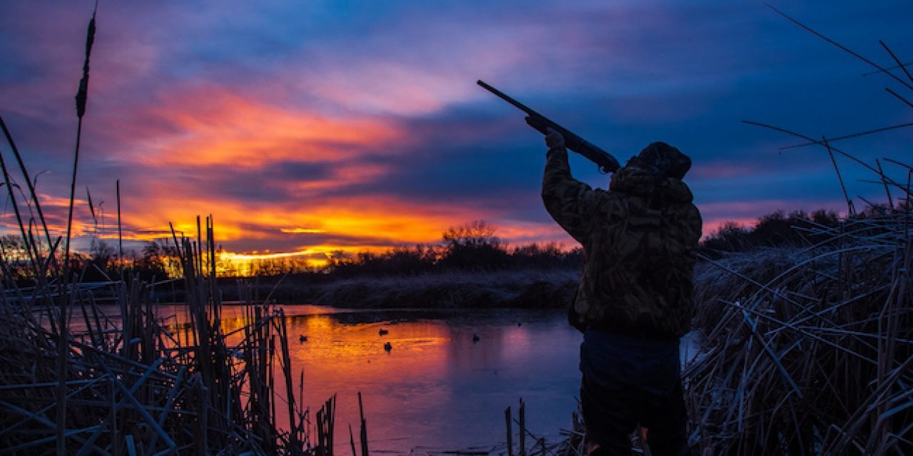 Early Waterfowl Action Tips in Missouri