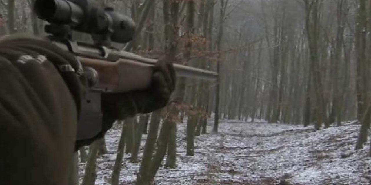 Expert German Marksman Takes Out an Entire Herd of Boars