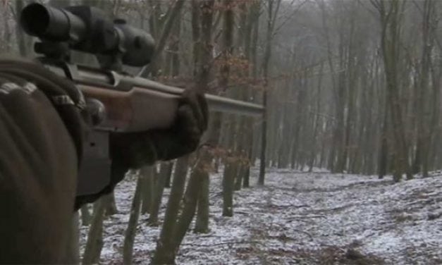 Expert German Marksman Takes Out an Entire Herd of Boars