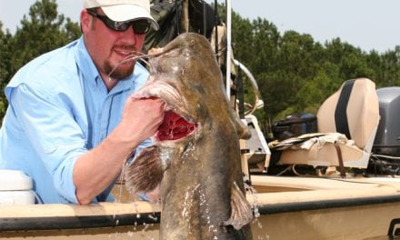 Fall Catfishing Baits, Tips, Spots in Carolina