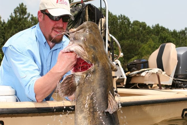 Fall Catfishing Baits, Tips, Spots in Carolina