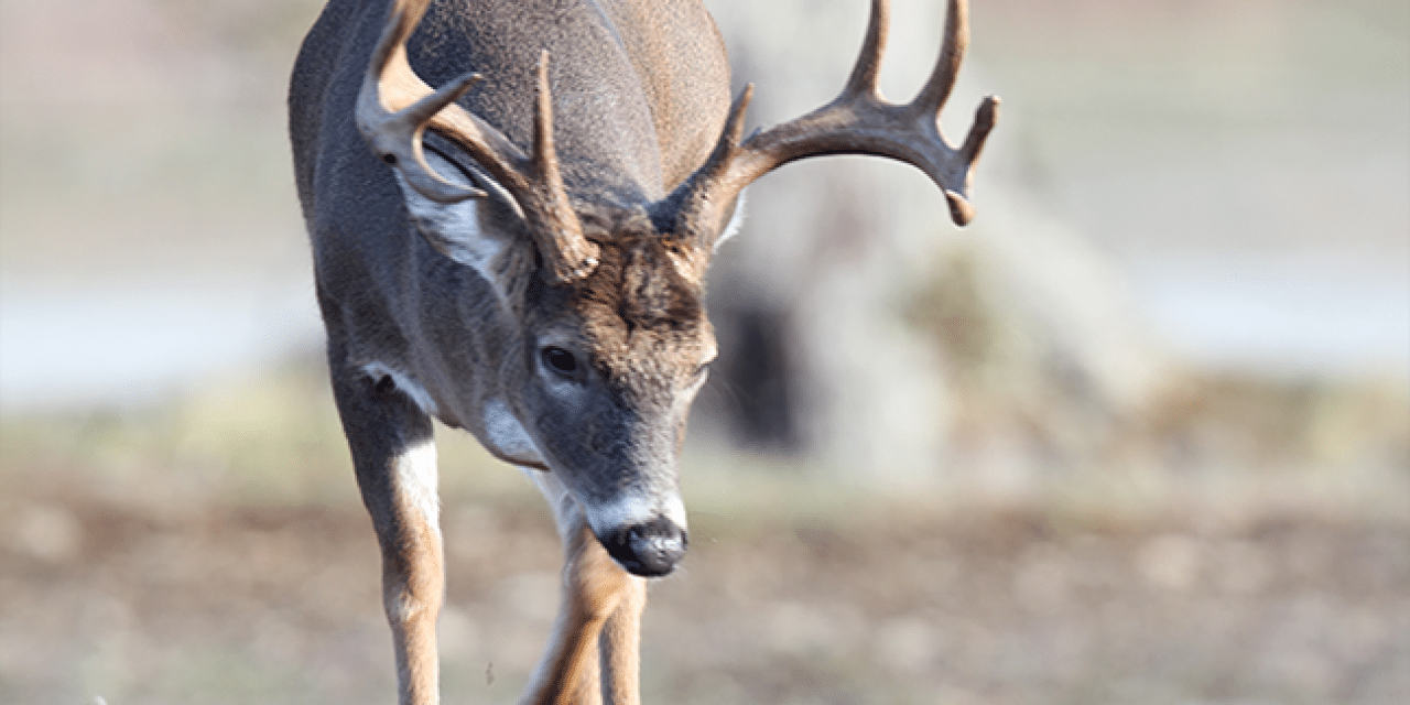 Fall Hunting and Fishing in Kentucky