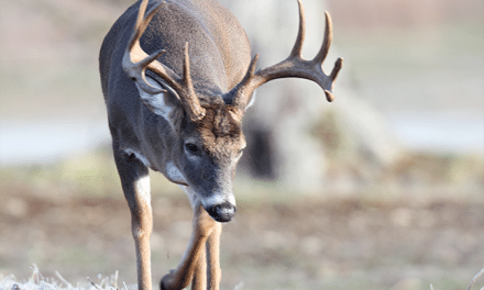 Fall Hunting and Fishing in Kentucky