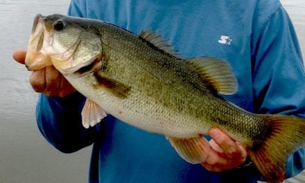 Fall Hunting and Fishing in Tennessee