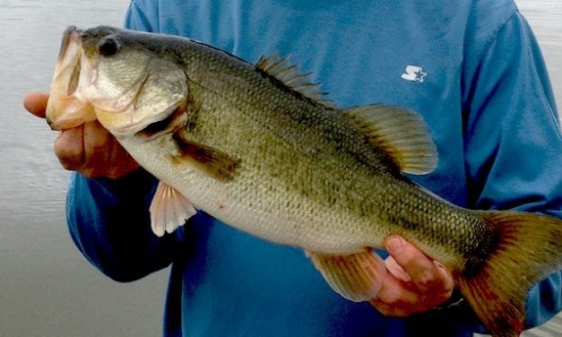 Fall Hunting and Fishing in Tennessee