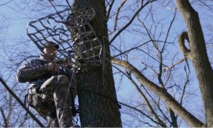 From Ground to Seated in Tree from Your Lone Wolf Treestand in Just 7 Minutes