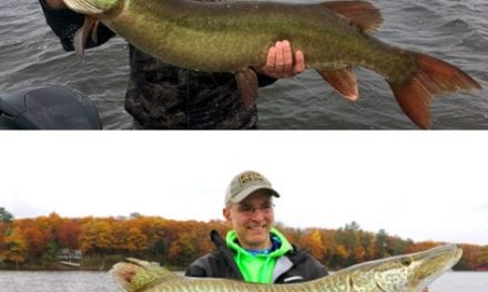 Give your Musky trolling some much-needed Mojo