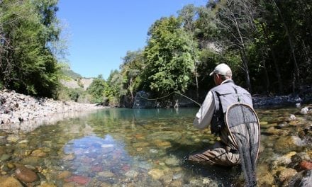 Go High and Fast for Fall Trout Fishing