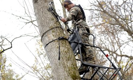 Going Stick ‘N String: Bowhunting in Kentucky