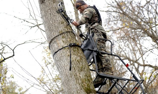 Going Stick ‘N String: Bowhunting in Kentucky