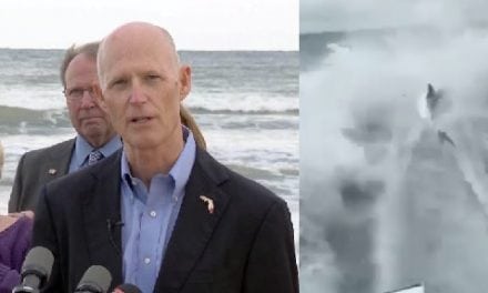 Gov. Rick Scott wants regulations checked after ‘disturbing’ shark-dragging