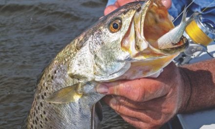 Hot Fall Inshore Fishing for Reds, Trout, Flounder & More