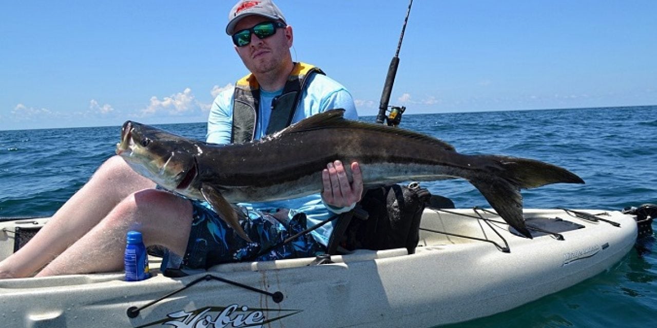 Hunting Panhandle Cobia from the Kayak