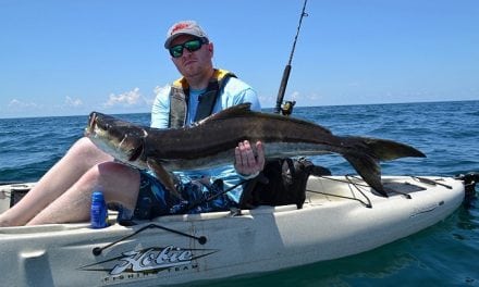 Hunting Panhandle Cobia from the Kayak