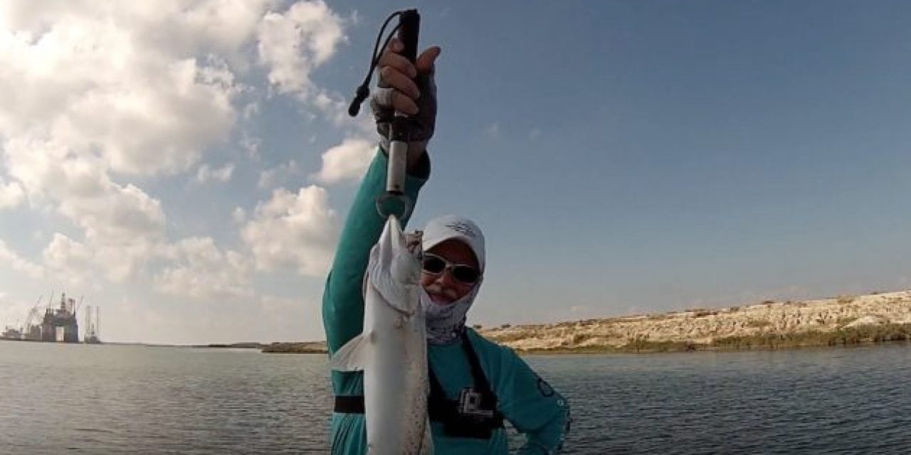 Hurricane Harvey Affects Fall Fishing in Texas