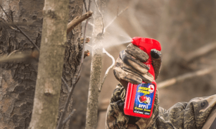 I Stopped Using Cover Scents For Deer And This is What Happened