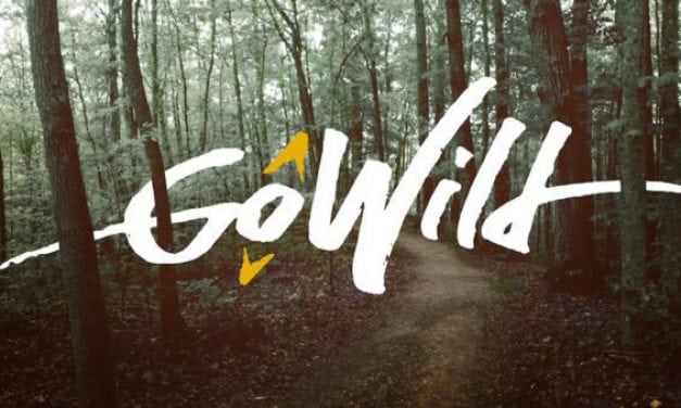 If You Download ANY App as an Outdoorsman, Make it This One