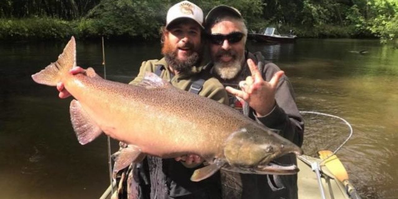 It’s the Year For Big Michigan King Salmon and Here’s How to Catch Them