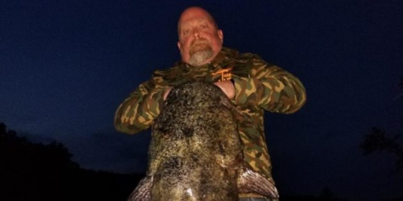 Man Catches New Minnesota Flathead Catfish Record