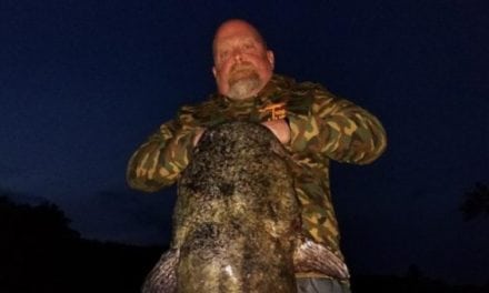 Man Catches New Minnesota Flathead Catfish Record