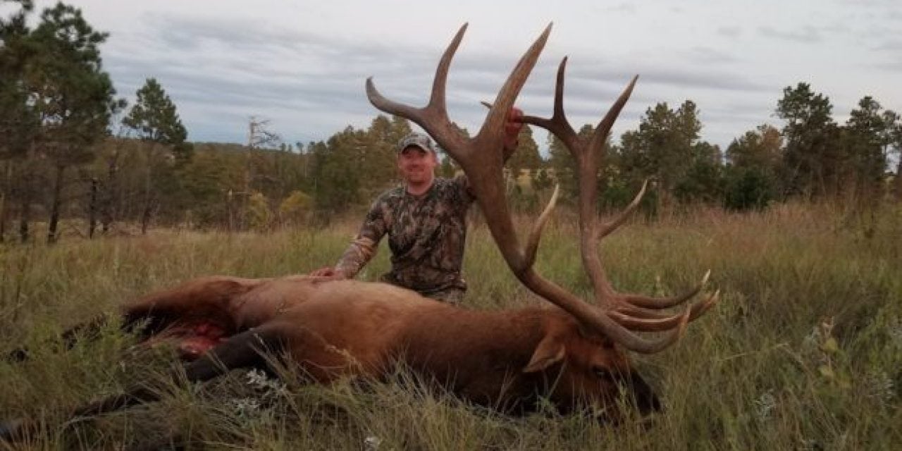Massive Elk Could be New Record in Nebraska