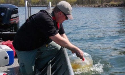 Mille Lacs Walleye Season Ends, DNR Set to Assess After Rocky Season