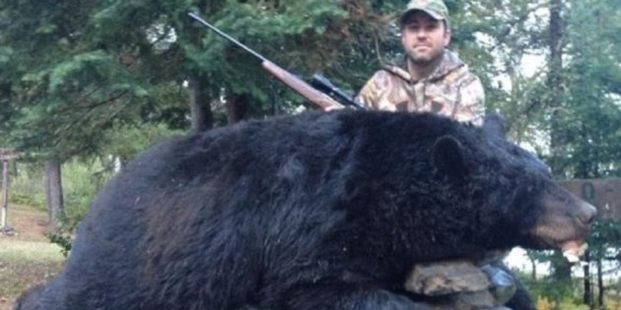 Monster 760-Pound Ontario Black Bear Shot, Man Convicted Three Years Later